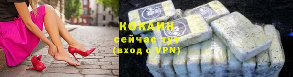 шишки Пересвет