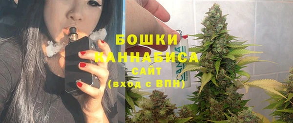 шишки Пересвет