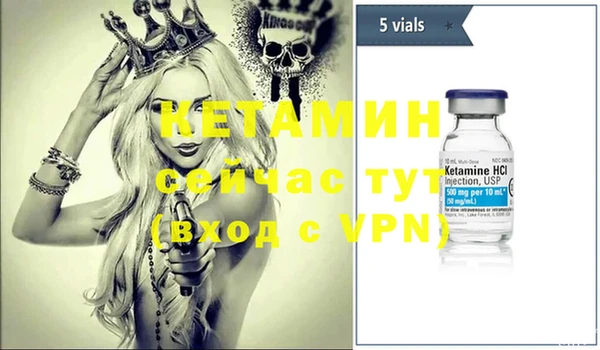 шишки Пересвет