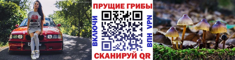 Галлюциногенные грибы MAGIC MUSHROOMS Котлас