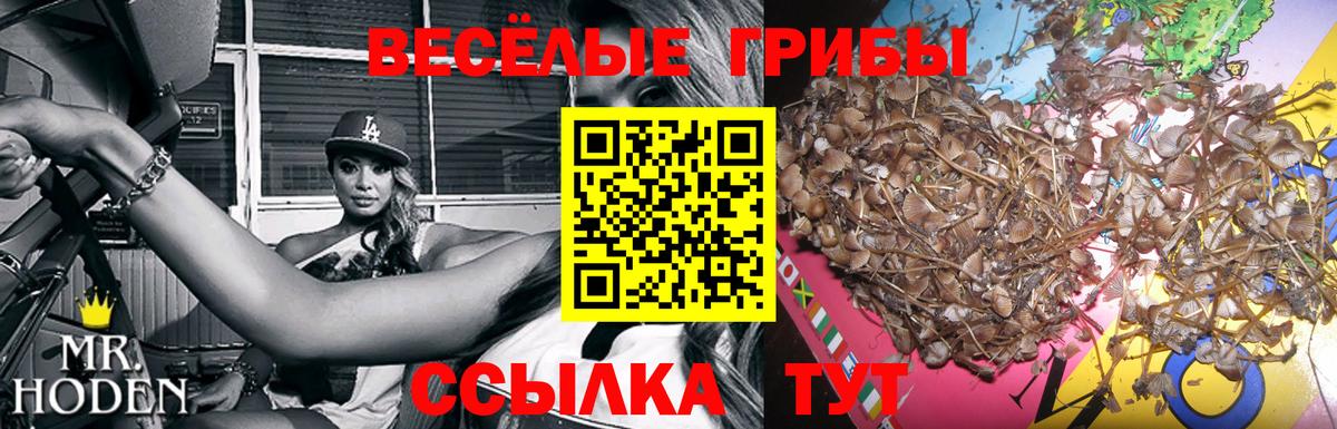 Галлюциногенные грибы мухоморы Котлас