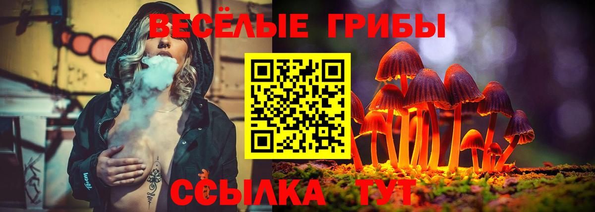 Котлас  Псилоцибиновые грибы Magic Shrooms  Вход с VPN 
